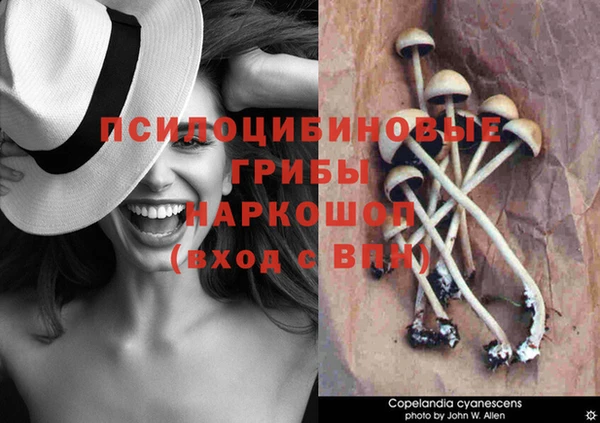 бутик Кодинск