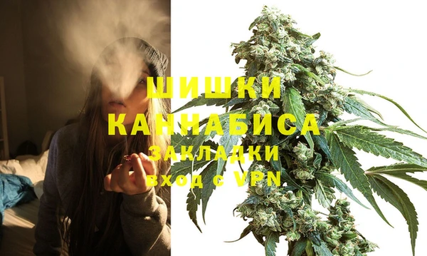 мдпв Козловка
