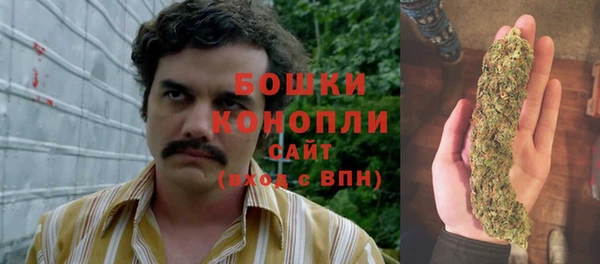 spice Барнаул
