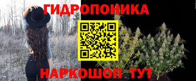 дживик Ливны