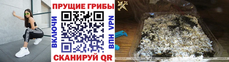 Галлюциногенные грибы Magic Shrooms  Ухта 