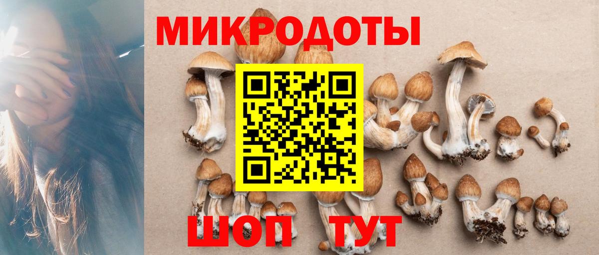 Ухта  Псилоцибиновые грибы ЛСД  Галлюциногенные грибы Psilocybine cubensis  Вход с VPN 